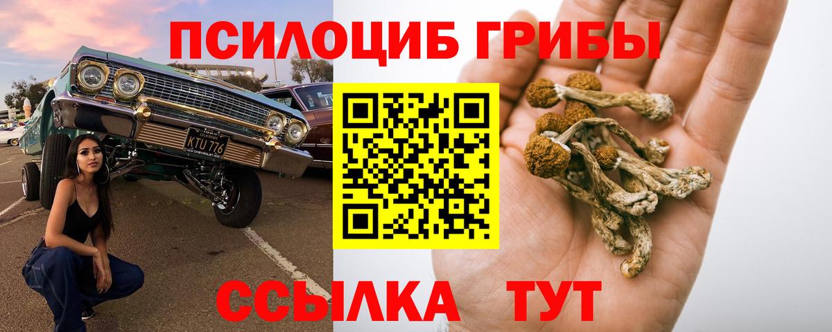 Псилоцибиновые грибы мицелий  Галлюциногенные грибы мухоморы  Мелеуз  Вход с VPN 